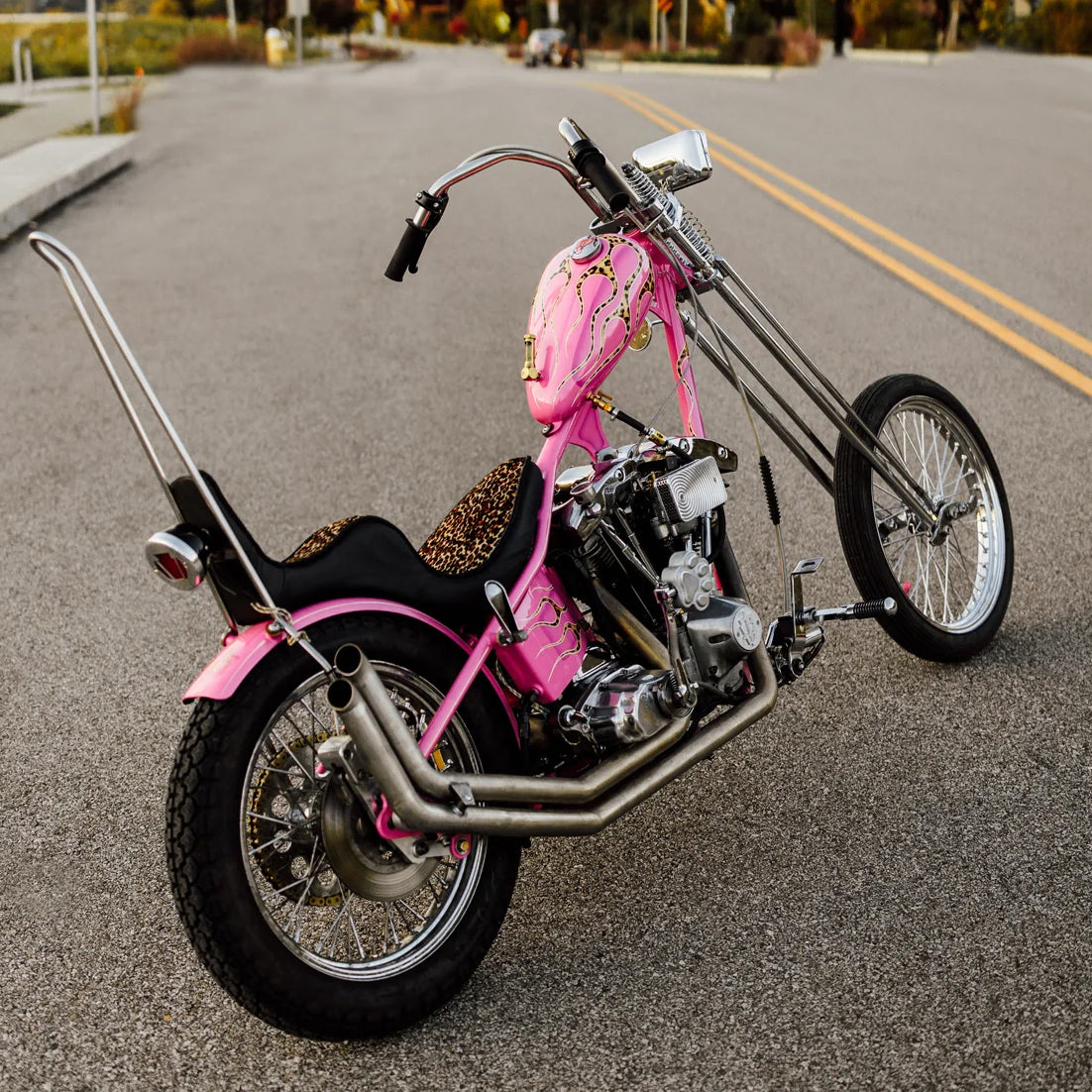 Pink Panther Shovelhead