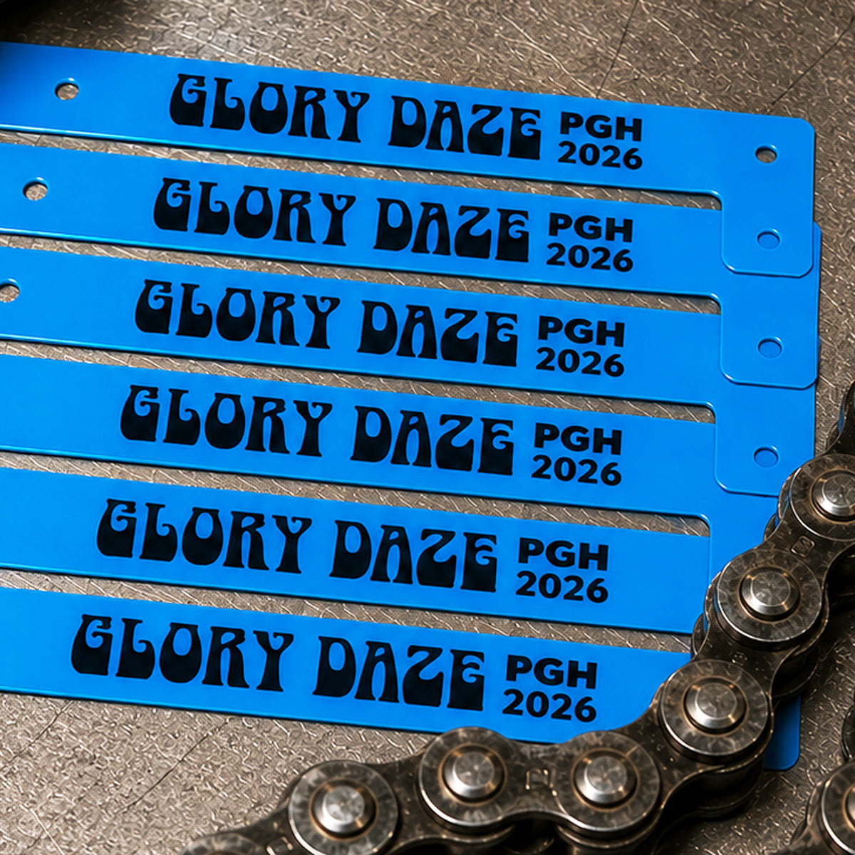 Entry Wristband 2026